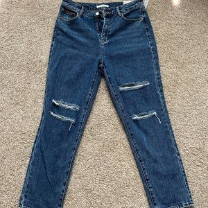 PacSun Mom Jean